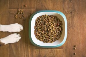 Raw Food DIet For Boxers - Dog Food Picture