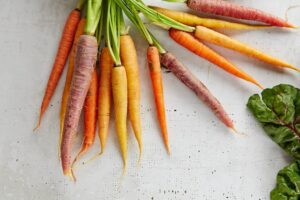 Can Boxer Dogs East Vegetables - Photo of colored carrots