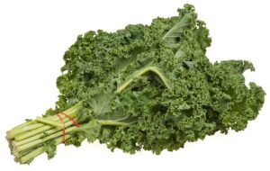 Calcium Vegetables for dogs - a photo of a bunch of Kale