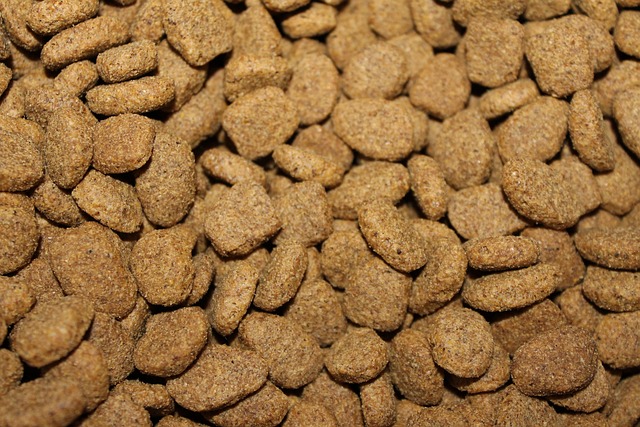 Benefits of Kibble - Photo of Kibble