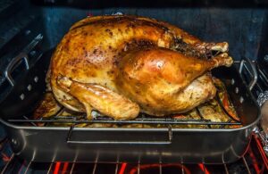 Kibble pros and cons - photo of protein - cooking turkey