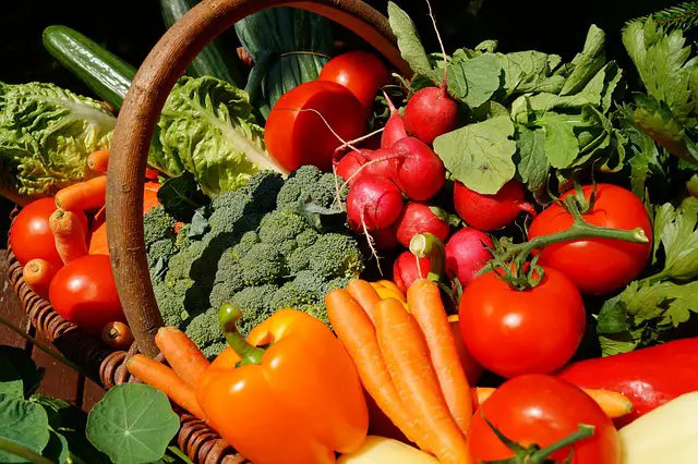 Best Calcium Rich Vegetables - Photo of vegetable basket