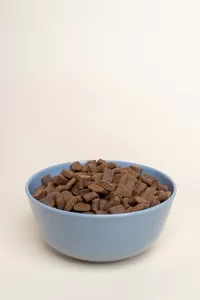 Boxer Dog feeding Guide - Photo of a bowl of Kibble