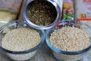 Dog Food with Grain - Photo of different grains used in dog food for nutritional value discussion.