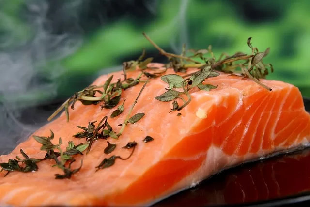 Fresh Dog Food Ingredients - Photo of salmon for a protein example