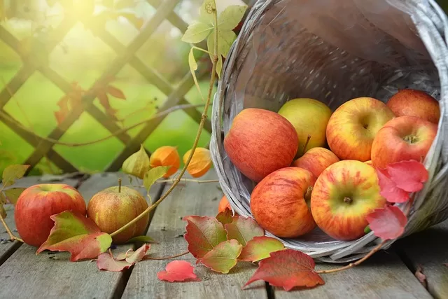 Dog food with fiber.  Photo of apples for soluble fiber discussion on regulating blood sugar