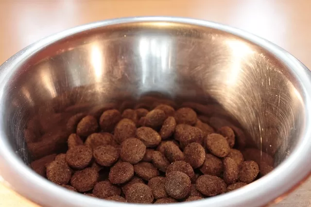 Freeze Dried Dog Food - Photo of dog food