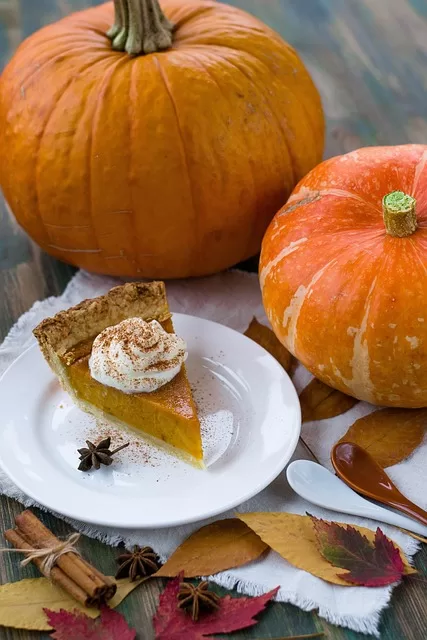 Pumpkin for dogs with diarrhea - photo of pumpkins and pumkin pie for discussion on pumpkins nutritional properties.