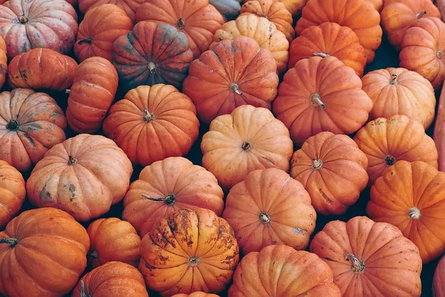 Pumpkin for dogs with diarrhea - photo of pumpkins for soluble fiber discussion