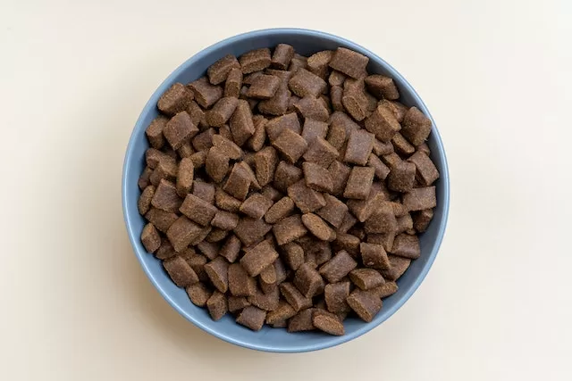 Is Natural Dog Food Better than Kibble? Photo of dog food bowl with natural dog food