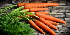 Weight Loss Dog food - phot of carrots as a natrual source of carbohydrates in natural dog food